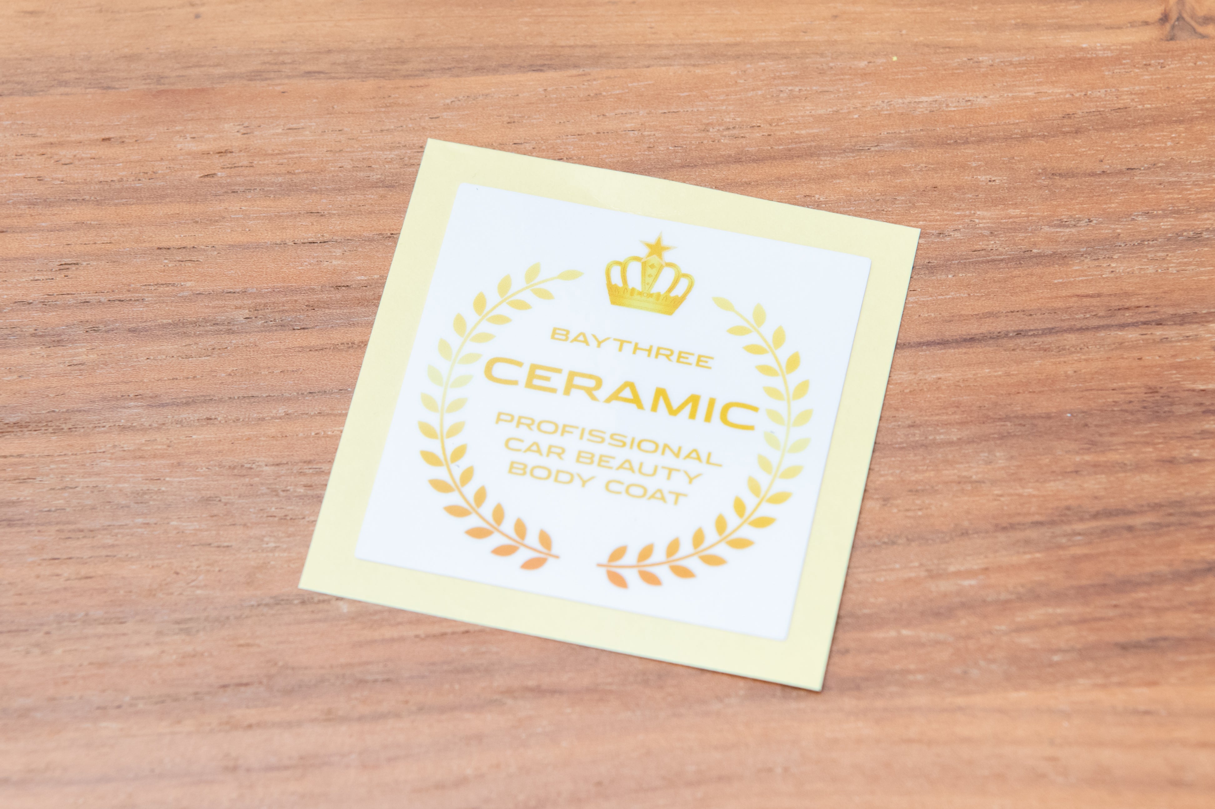 【施工セット・CERAMIC MARTINI 】完全硬化型高撥水セラミックコーティング剤